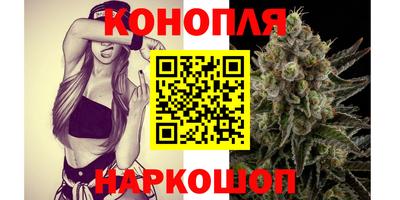 спиды Канаш