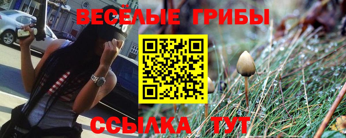 Псилоцибиновые грибы Magic Shrooms Видное