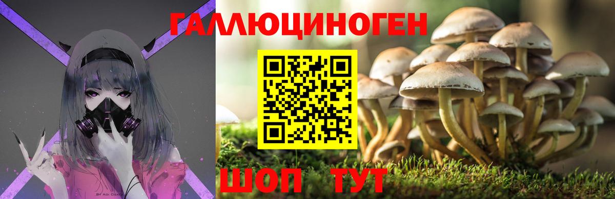 как найти наркотики  Галлюциногенные грибы мухоморы  Вход с VPN  Видное 